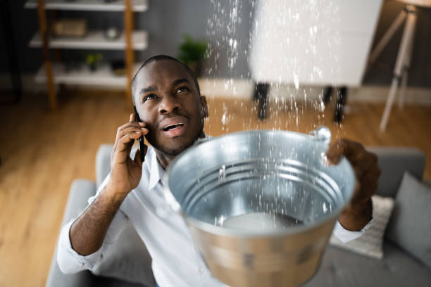 Best Water damage restoration company  in Lockwood, MO