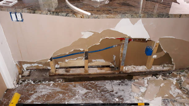Best Water damage restoration mold remediation  in Lockwood, MO