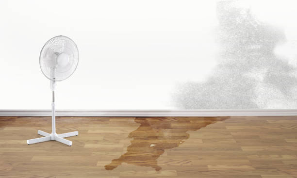 Trusted Lockwood, MO Water damage restoration Experts