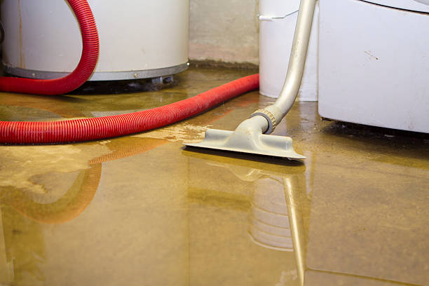 Best Fire Damage Restoration  in Lockwood, MO