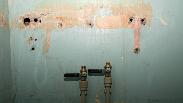 Best Water damage contractors near me  in Lockwood, MO