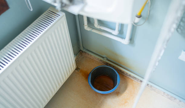 Best Carpet water damage restoration  in Lockwood, MO