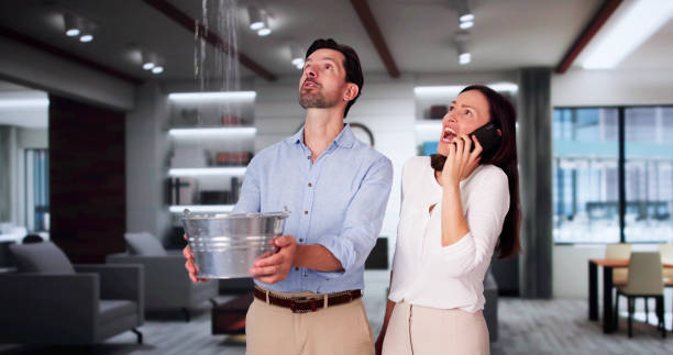 Best Water damage mitigation services  in Lockwood, MO