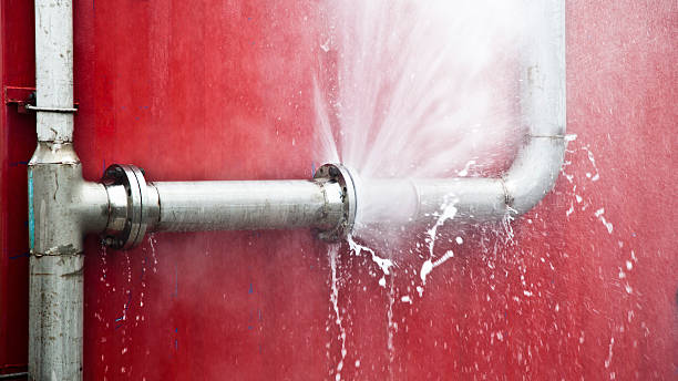 Best Flood damage cleanup  in Lockwood, MO