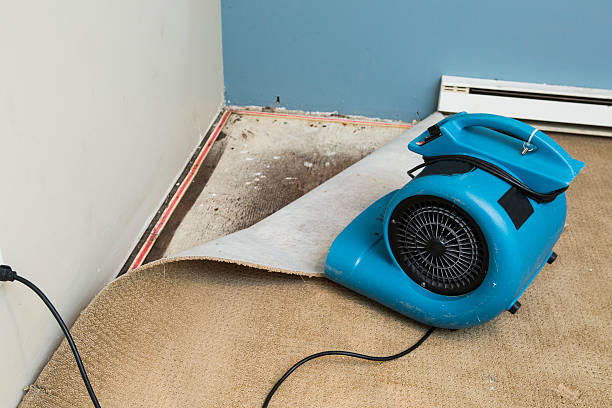 Best Emergency water damage restoration  in Lockwood, MO